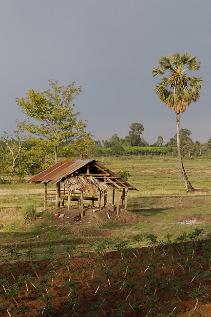 Famille et Amis Mai 2010-075